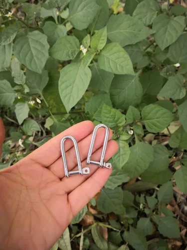Miniatura 4 de JY-Marine - Abrazadera de carga de grillete largo en D de acero inoxidable para cadenas, cuerda de paracaídas de levantamiento de cuerda