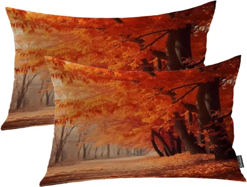 Miniatura 73 de Shrahala Abstract Art Modern Aesthetic Decorative Pillow Covers, Fluid Forms Minimalist Throw Pillow Cover Blended Hidden Zipper Cushion Cases for