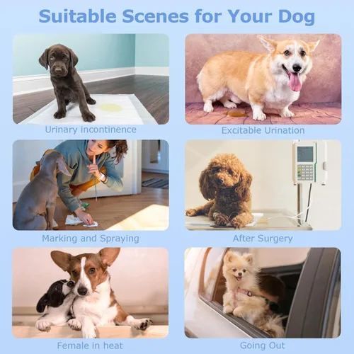 Miniatura 6 de Ambreview Pañales para Perras Hembras, Pañales Desechables para Perras Hembras con Cintura Elástica, Pañales Tipo Pull-Up para Cachorros