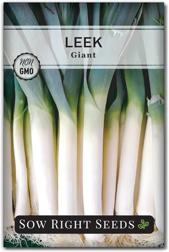 Sow Right Seeds - Semillas de puerro gigantes para plantar - Paquete de reliquia sin OMG con instrucciones para plantar y cultivar un huerto