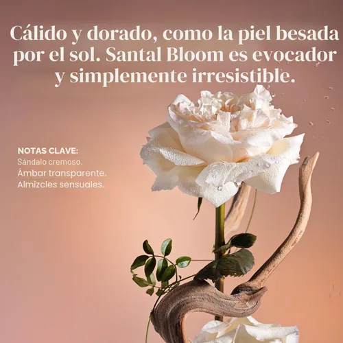 Miniatura 7 de Saltair Desodorante de suero Signature Scents, paquete de 2. Fórmula AHA al 5%. Desodorante de ácido láctico y ácido mandélico. Control de olores