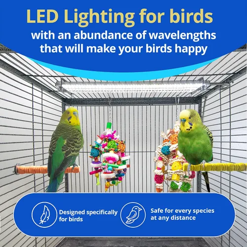 Miniatura 2 de HappyBird Lighting - Luz de jaula para pájaros con protector para masticar, luz LED de espectro completo para mascotas, simula el entorno natural