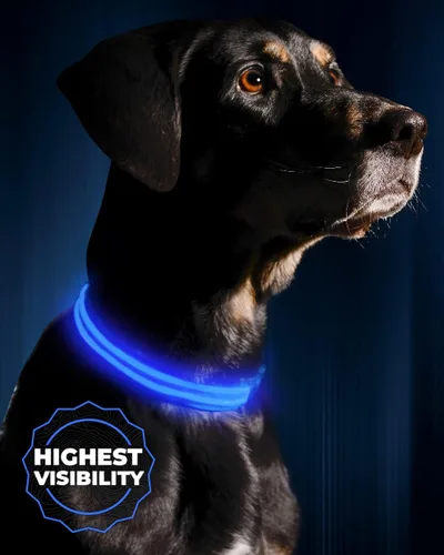 Miniatura 10 de Collar para perros LED Illumiseen, recargable por USB, Anaranjado encendido