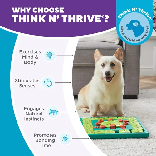 Miniatura 6 de Outward Hound por Nina Ottosson Multipuzzle Nivel 4 Experto Rompecabezas para Perros con Tratamientos para Enriquecimiento, Azul Multipuzzle (Verde)
