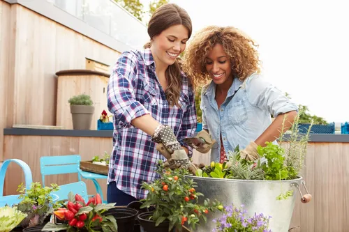 Miniatura 4 de Compañero para amantes de las plantas. Juego múltiple de 12. Raíces de poda de aire, evita la pudrición de las raíces y el riego excesivo. Plantas
