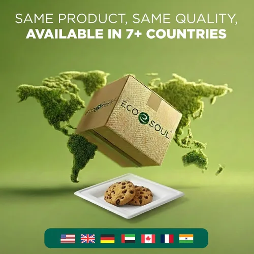Miniatura 8 de ECO SOUL Platos de papel compostables de 10 pulgadas, paquete de 100 – Platos de papel desechables resistentes, bagazo de caña de azúcar