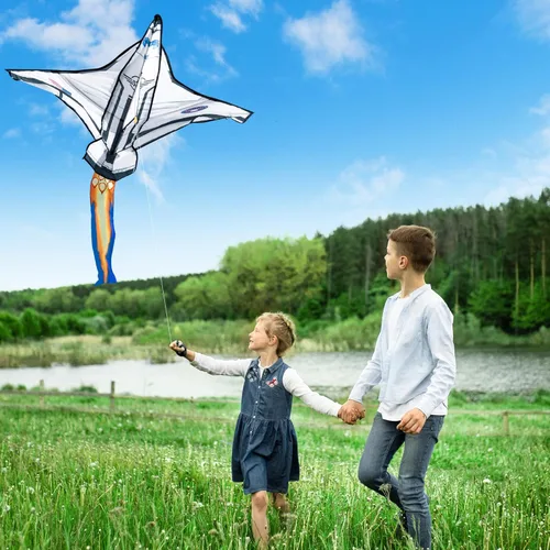 Miniatura 4 de JOYIN Cometa de playa grande para juegos y actividades al aire libre