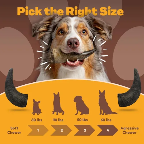 Miniatura 4 de WhiteTail Naturals - Cuernos de búfalo de agua para perros (paquete mediano, 3 unidades) Hueso de perro totalmente natural - Hueso masticable