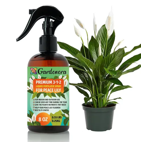 Miniatura 12 de Gardenera Fertilizante en aerosol multiusos profesional para jardinería doméstica, listo para usar, 3-1-2, alimento suave para plantas para hojas