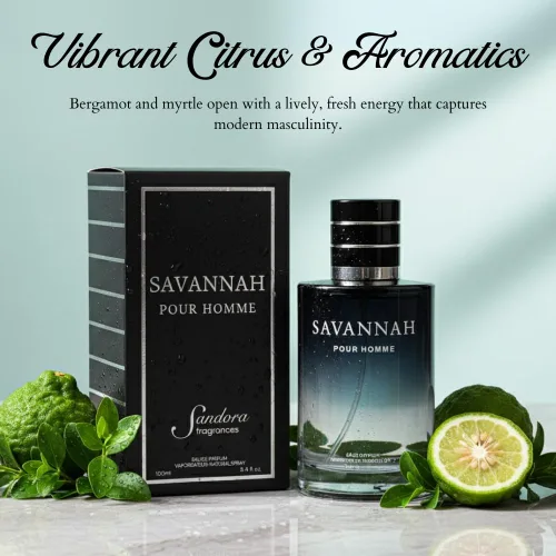 Miniatura 4 de Sandora Fragrances Colonia para hombre – Inspirada en un perfume para hombre reconocido mundialmente – bergamota de Calabria, pimienta, lavanda