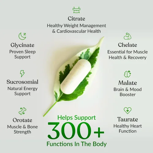 Miniatura 3 de BIOptimizers Suplemento Magnesium Breakthrough con 500mg - 7 Formas de Magnesio: Glicinato, Malato, Citrato y Más - Apoyo Natural para el Sueño