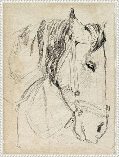 Miniatura 16 de Amanti Art Lienzo enmarcado para pared, diseño de caballo en brida, 24 x 18 pulgadas, boceto I de Jennifer Paxton Parker, lienzo enmarcado