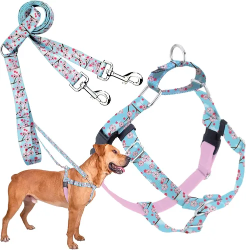 Miniatura 41 de 2 Hounds Design - Arnés para perro (libertad sin tirar), control ajustable, suave y cómodo para pasear perros fácilmente, para perros pequeños, Azul