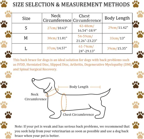 Miniatura 2 de IVDD - Soporte de espalda para perros, chaleco flexible de apoyo de espalda de perro salchicha para mascotas, soporte de espalda para mascotas