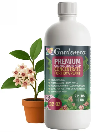 Miniatura 74 de GARDENERA Superalimento orgánico prémium de algas marinas y algas marinas para plantas AGLAONEMA, 8 onzas, concentrado de fertilizante líquido