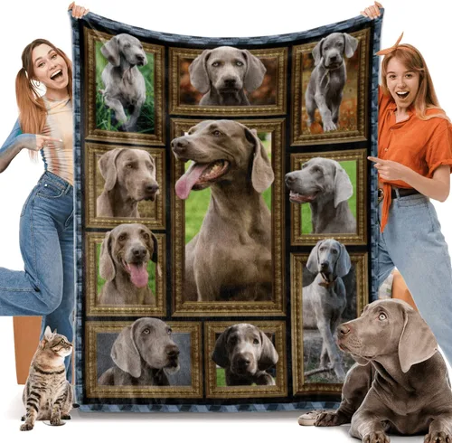 Miniatura 11 de Border Collie - Manta para niños, regalos para los amantes de los perros, 40 x 50 pulgadas, mantas para niños pequeños y bebés para sofá, cama