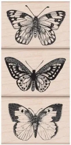Miniatura 3 de Hero Arts E6370 Sellos de madera, celebra los osos de la tierra