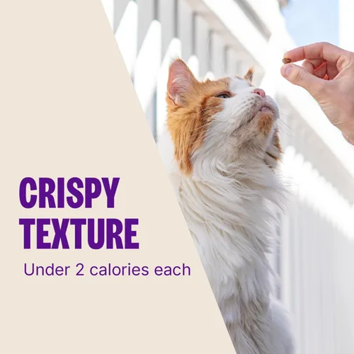 Miniatura 7 de Wellness Kittles - Crujiente sorpresa alimenticia natural para gatos sin granos