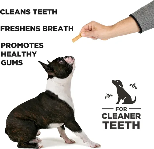 Miniatura 2 de Hive - Palitos masticables – Golosinas dentales para perros – Vegetarianas, hechas con cacahuetes molidos y miel, sin grano ni soja, limpia