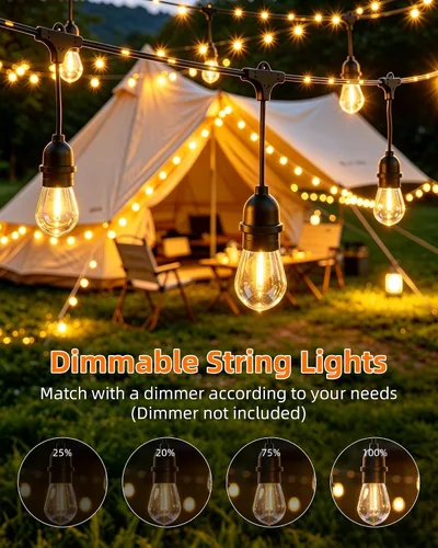 Miniatura 5 de Tira de luces para exteriores con tubo iluminado de 24 pies, cadena de luces de grado comercial con 13 bombillas Edison S14 (12+1 de repuesto)