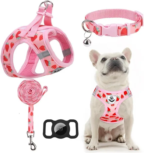 Miniatura 10 de EXPAWLORER Arnés Clásico de Plátanos para Cachorros - Juego de Arnés y Correa para Perros Pequeños - Juego de Collar y Correa para Perros con Azul