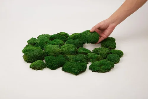 Miniatura 2 de Cojín Almohada Bollo de Musgo de Poste Preservado Verde Natural Decorativo Real Natural Kit de Bricolaje Arte de Jardinería Decoración de Pared