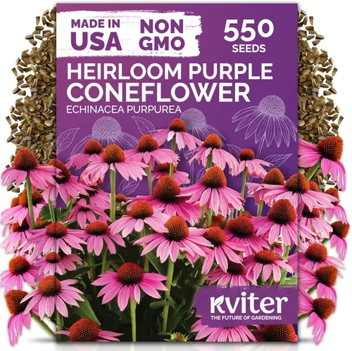 Miniatura 9 de KVITER 25 semillas de algodón blanco para plantar (Gossypium hirsutum) – Planta de algodón real, semillas de algodón para cultivo, semillas