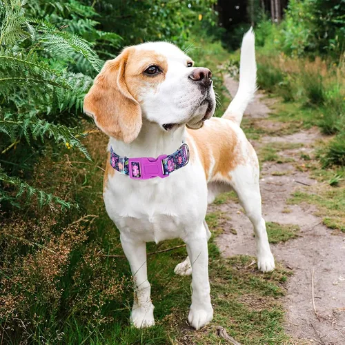 Miniatura 10 de Collares de Perro para Niñas con Patrones de Margaritas, Lindo Collar Rosa para Perras, Collares Ajustables Blandos y Duraderos para Perros XS 12
