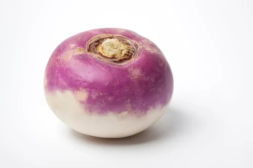 Miniatura 3 de TKE Farms & Gardens - Semillas de nabo púrpura para plantar, 0.44 onzas, 5000 semillas de reliquia, sin OMG, el paquete incluye instrucciones
