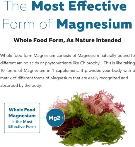 Miniatura 4 de Suplemento de magnesio orgánico de alimentos integrales - A base de plantas, complejo de vegetales marinos orgánicos - 250 mg por porción Extraído