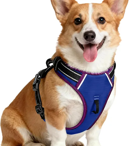 Miniatura 10 de Arnés para perro sin tirones, chaleco reflectante ajustable y acolchado para mascotas con asa de fácil control, fácil de llevar con nudo elegante