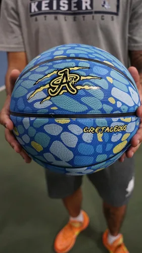 Miniatura 2 de Balón de baloncesto oficial A Plus, hombres/mujeres/jóvenes/niños pequeños. Tema de dinasaur de goma de rebote alto. Mini, talla 5, talla 6 y talla 7