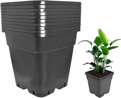 Macetas para plantas, paquete de 10 macetas de 2 galones, macetas de jardín para plantas de semillero, macetas de plástico moldeado por inyección