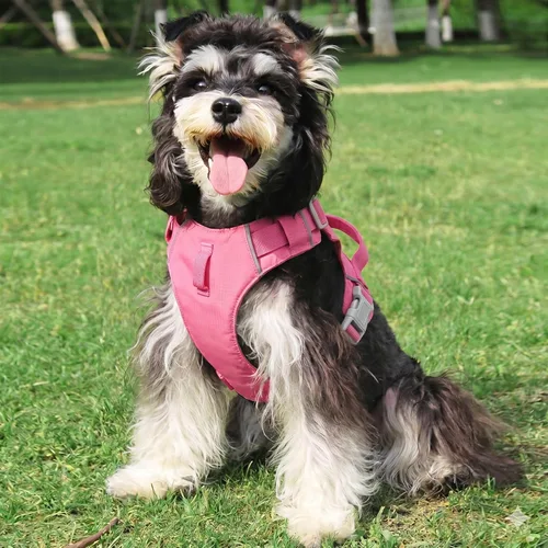 Miniatura 3 de Mile High Life Arnés sin tirones para perro, con rayas reflectantes, ajustable, fácil de poner, arnés ligero para perros pequeños, medianos