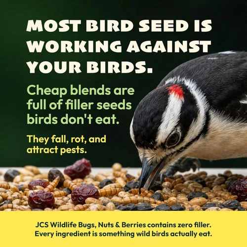 Miniatura 2 de JCs Wildlife Cilindro de semillas de pájaros con agujero, sin ensuciar, sin relleno, alimento para pájaros silvestres para comederos exteriores