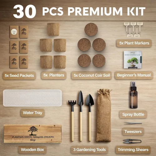 Miniatura 6 de AVERGO Kit de árbol bonsái clásico, 5 árboles bonzai japoneses únicos Kits completos de inicio de bonsái de interior para árboles en crecimiento