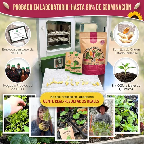 Miniatura 2 de Paquete variado de 20 semillas de verduras, más de 12,465 semillas de reliquia sin OMG para plantar verduras y frutas en paquetes de semillas
