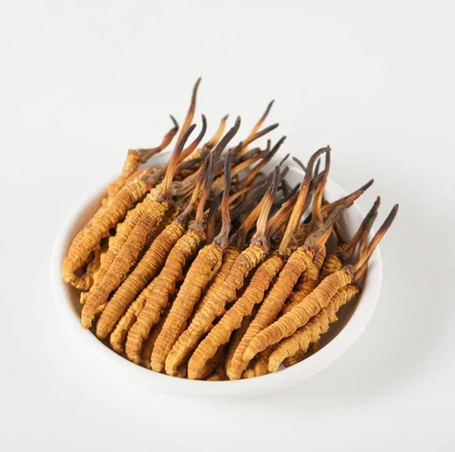 Cordyceps salvajes, hongo Cordyceps Sinensis entero del Himalyan, genuino y muy raro, alto grado, aumenta la energía, reduce el estrés para hombres
