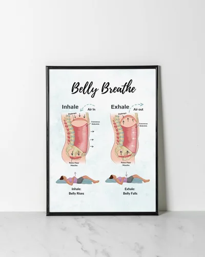 Póster educativo de fisiopatología para respirar del vientre, gráfico de piso pélvico de arriba hacia abajo, decoración de pared del hogar, arte de