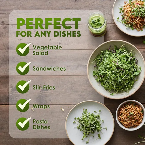 Miniatura 6 de Nature Jims Sprouts Mezcla de ensalada orgánica - Semillas microverdes sin OMG para el cultivo - Mezcla saludable de brotes de brócoli, alfalfa