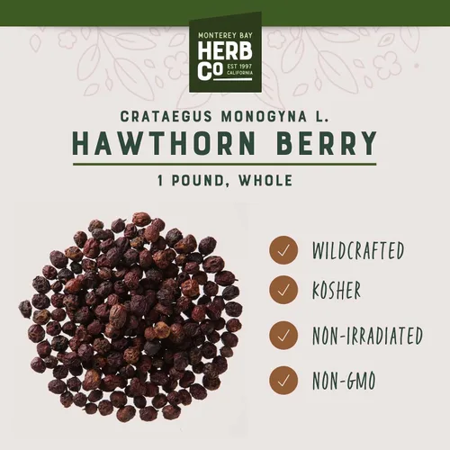 Miniatura 3 de Bayas de espino entero, por Herb Co, Crataegus Monogyna L, Haws, Wild Hecho a mano en Albania y Bulgaria, Kosher, para té, mermeladas, bebidas