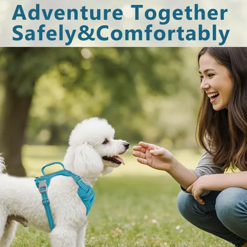 Miniatura 8 de BARKBAY Arnés Oxford sin tirones para perro con bolsillo para etiqueta de identificación, resistente, reflectante, fácil control para perros grandes