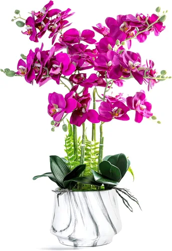 Miniatura 8 de W&W Plantas y flores artificiales de orquídea con jarrón, orquídea de seda sintética falsa en maceta de cerámica, 24 pulgadas, color blanco