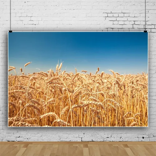 Miniatura 2 de Telón de fondo de campo de trigo dorado, 5 x 3 pies, rústico, otoño, tierras de cultivo de trigo, cosecha de grano de trigo, desierto, cielo azul