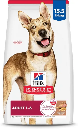 Miniatura 19 de Hill's Science Diet Adulto 1-6, Nutrición Premium para Adultos, Alimento Seco para Perros, Cordero y Arroz Integral, Bolsa de 33 Libras