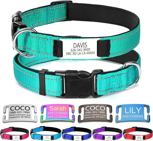 Miniatura 14 de Collares de perro personalizados, collar de perro con etiquetas de identificación de placa de nombre grabadas, collar de nailon ajustable Rosa