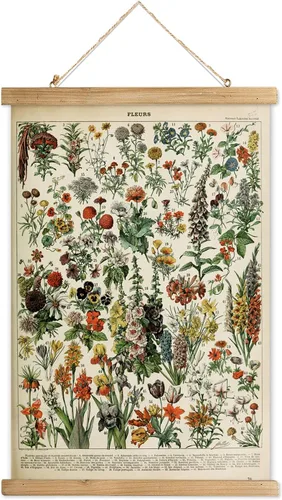 Miniatura 18 de XIAOAIKA Póster Educativo de Vida Silvestre de Seto Británico - Cuadro Ilustrado de la Naturaleza con Marco de Madera - Arte de Pared de Animales