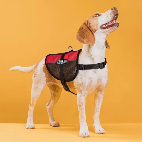 Miniatura 5 de Dogline Chaleco para perro de servicio, 17 x 21 pulgadas, rojo