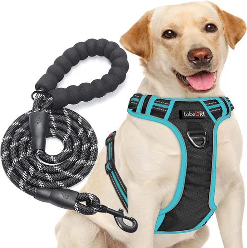 TobeDRI - Arnés antitirones para perro, ajustable, reflectante, tela Oxford fácil de controlar, para perros medianos y grandes con una correa de 5