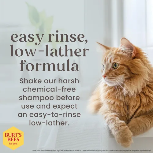 Miniatura 4 de Burt's Bees for Pets Champú para gatitos sin lágrimas con suero de mantequilla, fórmulas 99.3% de origen natural, champú para mascotas para gatos